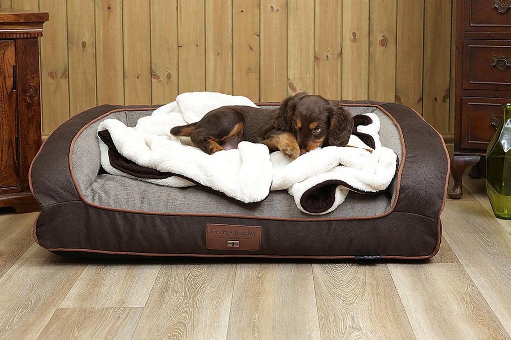 Dog Sleeping Area The Ideal Sleeping Place For Your Dog You Should dog-sleeping-area-the-ideal-sleeping-place-for-your-dog-you-should