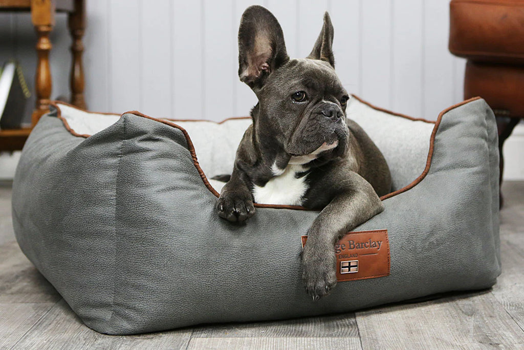 Soft or Firm What s The Best Type Of Dog Bed For Your Dog