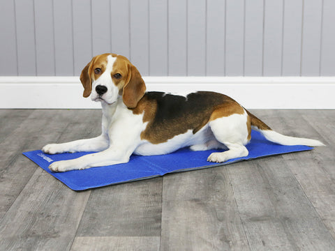 ClimaCOOL 'BULK PACKED' Self Cooling Dog Mat (Medium – Large)