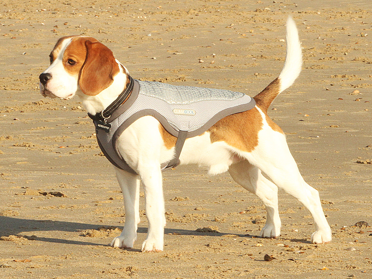 ClimaCOOL, Dog Cooling Jacket (Vest)