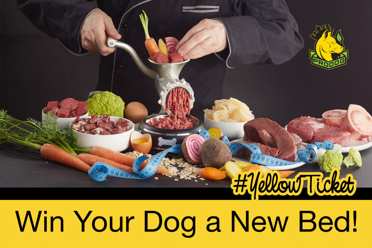 George Barclay team up with premium raw dog food supplier ProDog Raw