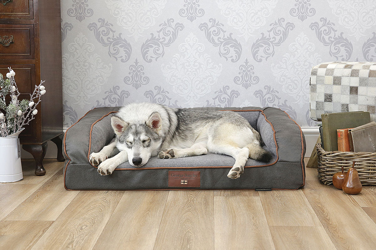 A Dog Bed Is an Investment, Not a Cost