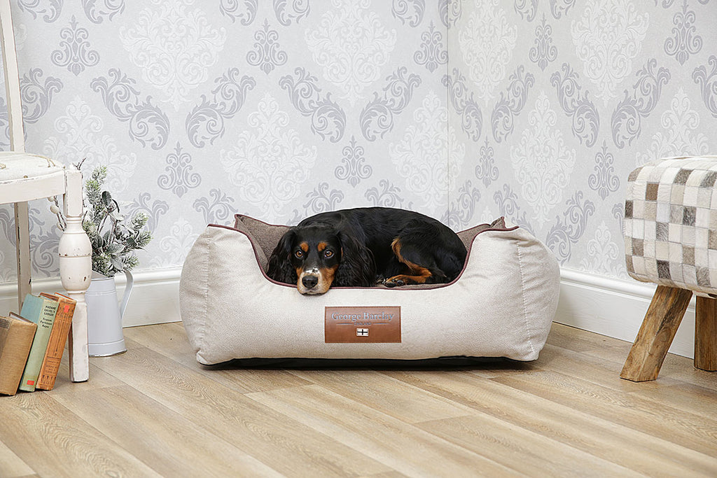 Best Dog Beds for Small & Medium Dogs The Comfort Guide
