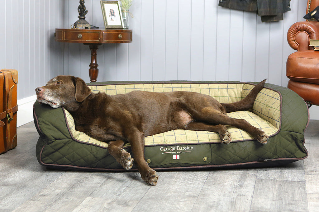 The Best George Barclay Dog Bed for a Labrador