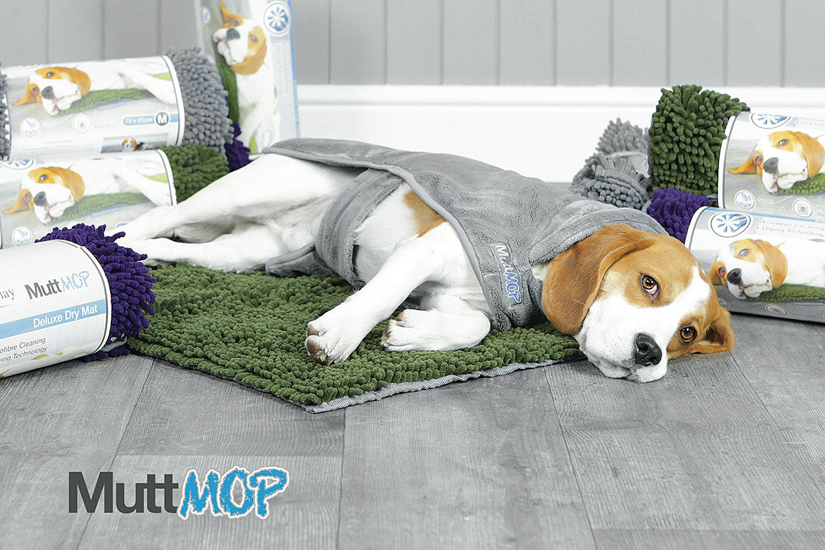 Exploring MuttMOP Dog Drying Products