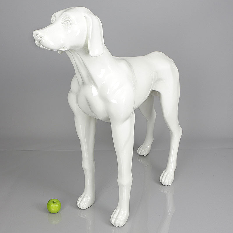 Edward - Weimaraner Mannequin