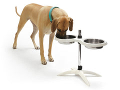 Height Adjustable Double Feeding Dog Bowl 2 x 2200ml