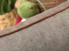 Hythe Orthopaedic Walled Dog Bed - Warm Boulder, Large