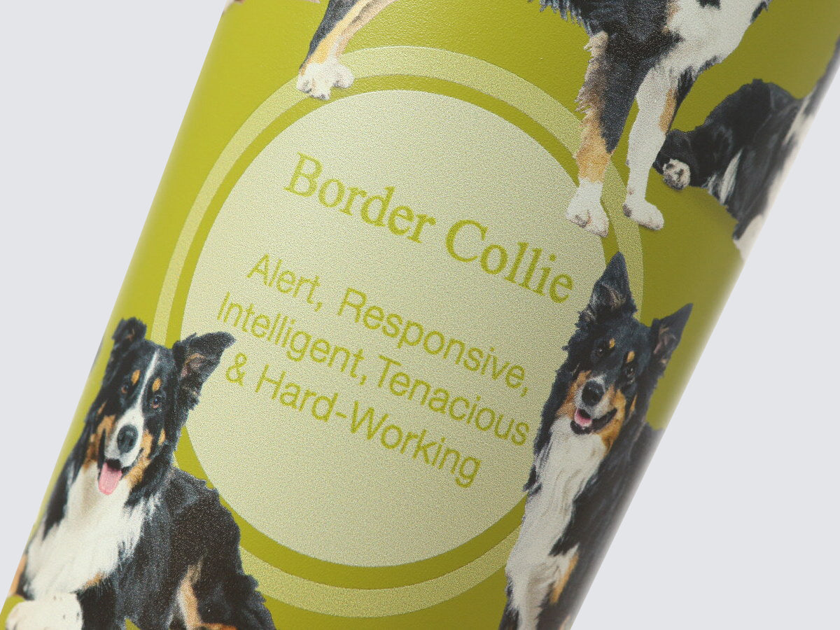 Tumbler - Hot & Cold Drinks Capsule | Border Collie