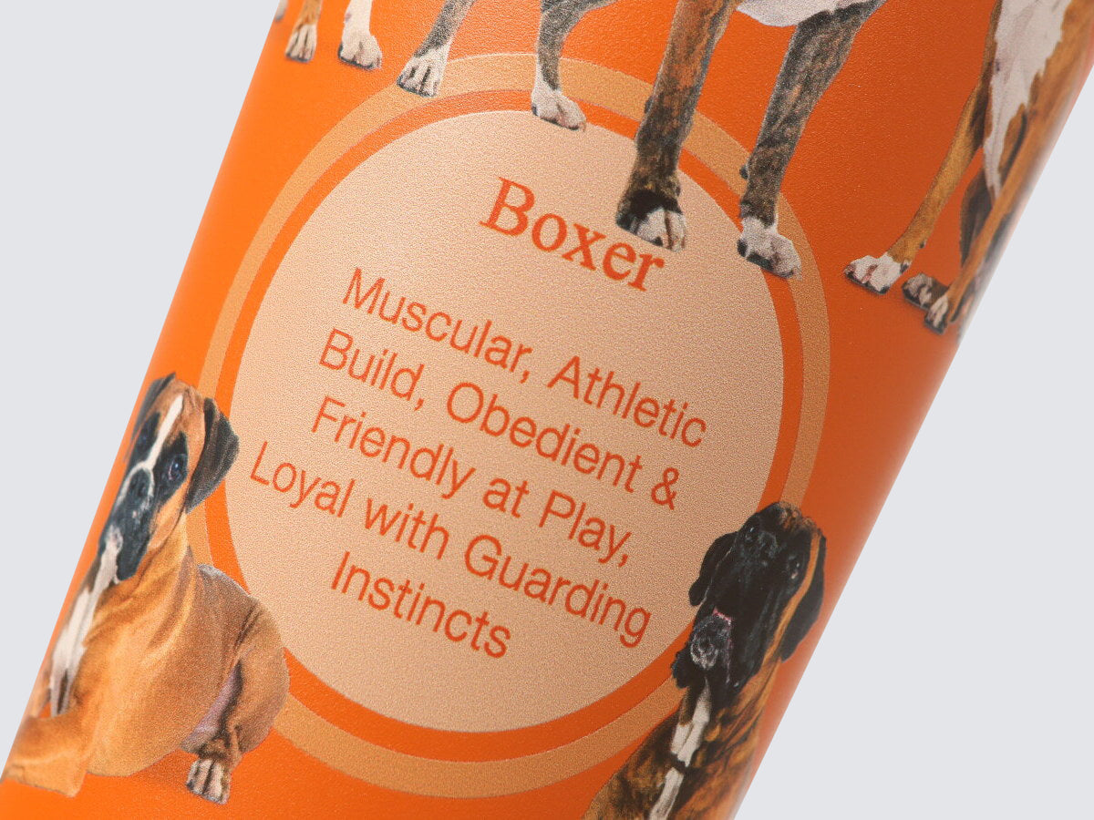 Tumbler - Hot & Cold Drinks Capsule | Boxer