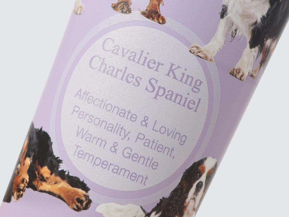 Tumbler - Hot & Cold Drinks Capsule | Cavalier King Charles Spaniel