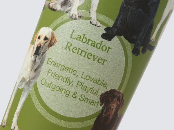 Tumbler - Hot & Cold Drinks Capsule | Labrador Retriever