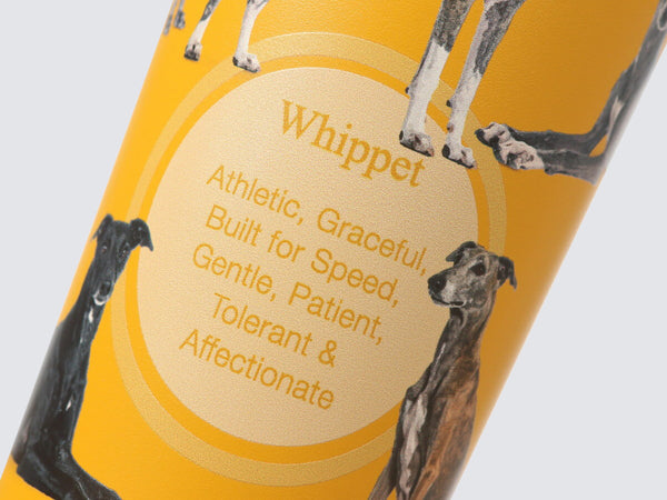 Tumbler - Hot & Cold Drinks Capsule | Whippet