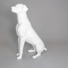 Edmund - Great Dane Mannequin