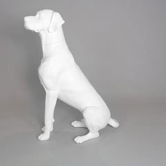 Edmund - Great Dane Mannequin