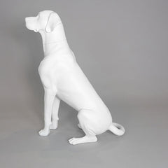 Edmund - Great Dane Mannequin