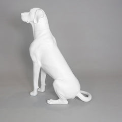 Edmund - Great Dane Mannequin