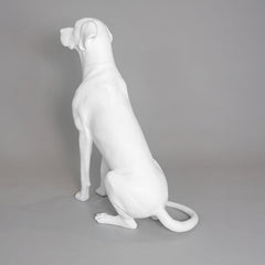 Edmund - Great Dane Mannequin