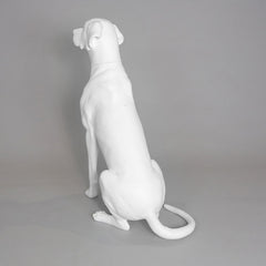 Edmund - Great Dane Mannequin