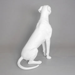 Edmund - Great Dane Mannequin