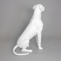 Edmund - Great Dane Mannequin