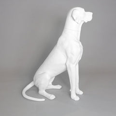 Edmund - Great Dane Mannequin