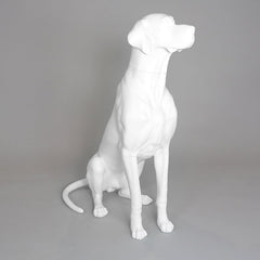 Edmund - Great Dane Mannequin