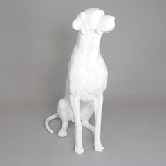 Edmund - Great Dane Mannequin