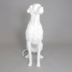 Edmund - Great Dane Mannequin