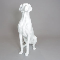 Edmund - Great Dane Mannequin