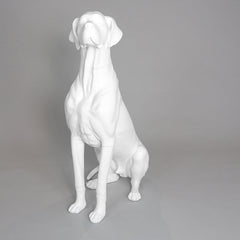 Edmund - Great Dane Mannequin