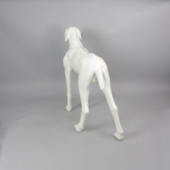 Edward - Weimaraner Mannequin