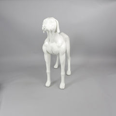 Edward - Weimaraner Mannequin