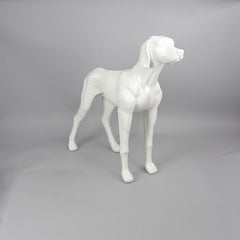 Edward - Weimaraner Mannequin