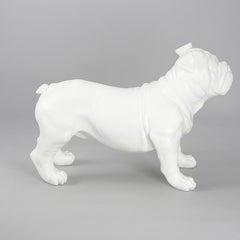 Harold - English Bulldog Mannequin