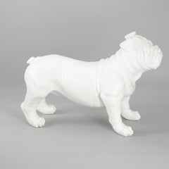 Harold - English Bulldog Mannequin