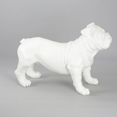 Harold - English Bulldog Mannequin