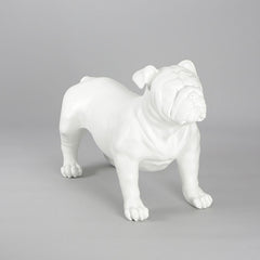 Harold - English Bulldog Mannequin