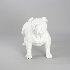 Harold - English Bulldog Mannequin