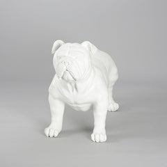 Harold - English Bulldog Mannequin