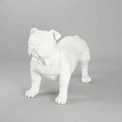 Harold - English Bulldog Mannequin