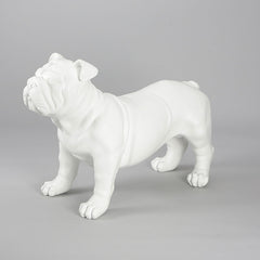Harold - English Bulldog Mannequin
