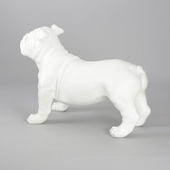 Harold - English Bulldog Mannequin