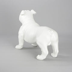 Harold - English Bulldog Mannequin