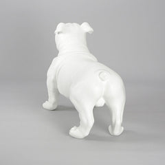 Harold - English Bulldog Mannequin