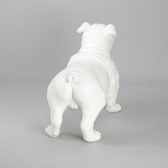 Harold - English Bulldog Mannequin