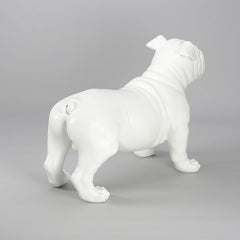 Harold - English Bulldog Mannequin