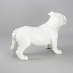 Harold - English Bulldog Mannequin