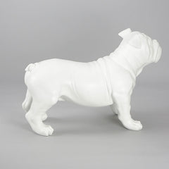 Harold - English Bulldog Mannequin