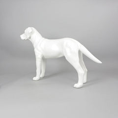 Victoria - Labrador Mannequin